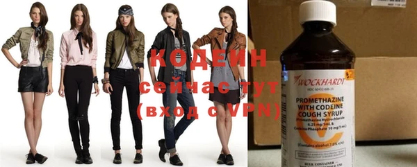 спиды Богородицк