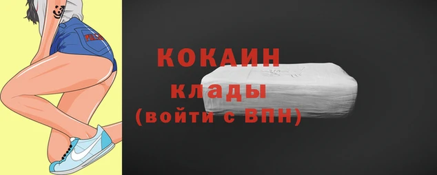 спиды Богородицк
