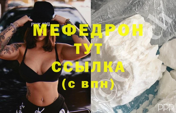 мдпв Бородино