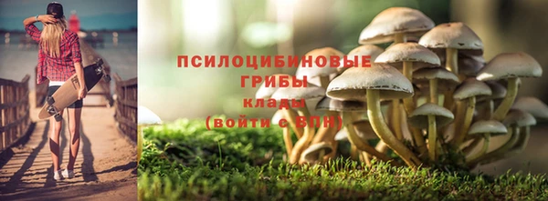 спиды Богородицк